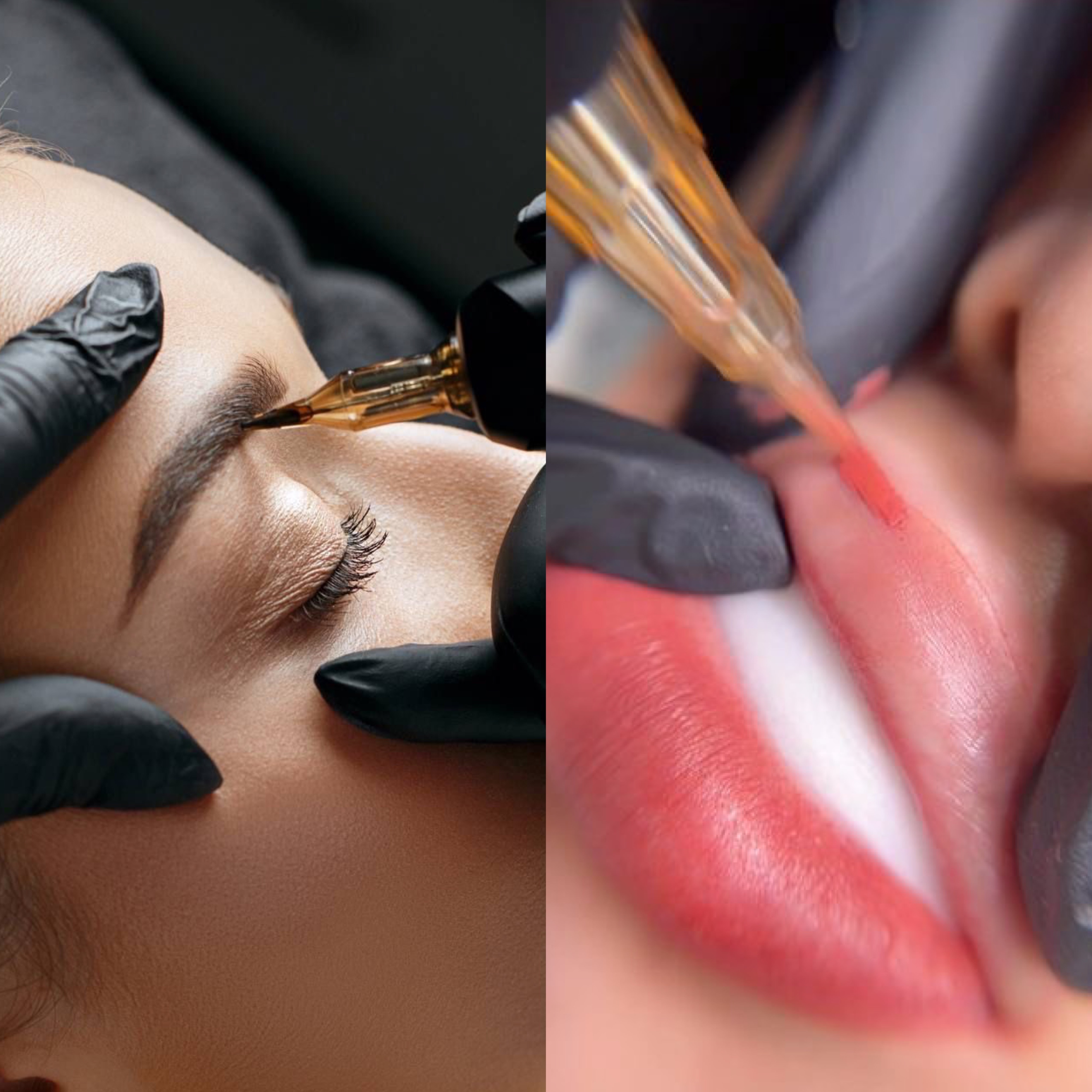 Blush & Brow Pro Course